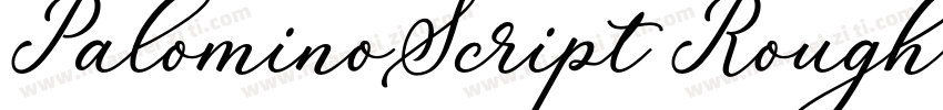 PalominoScript Rough字体转换